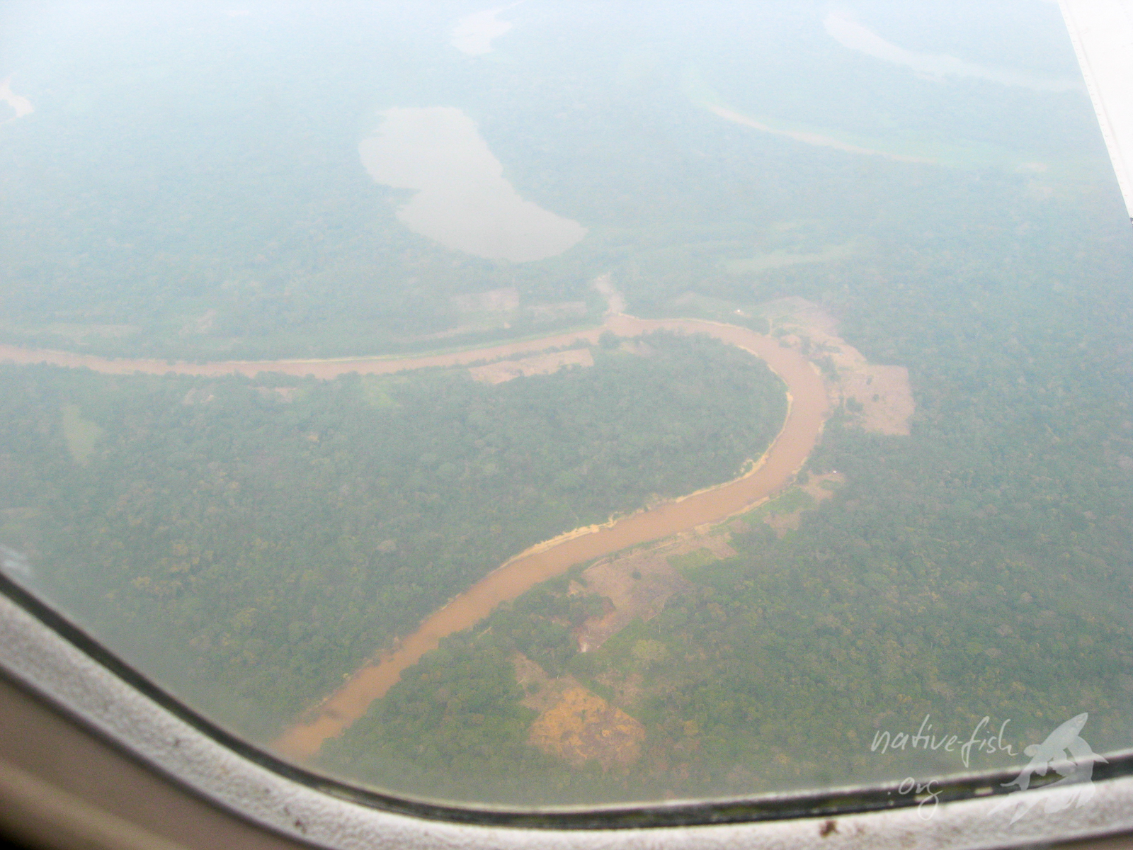 Blick aus dem Flugzeug beim Flug von Trinidad nach Cobija. (Bildquelle: Stefan K. Hetz, native-fish.org) Flug nach Cobija