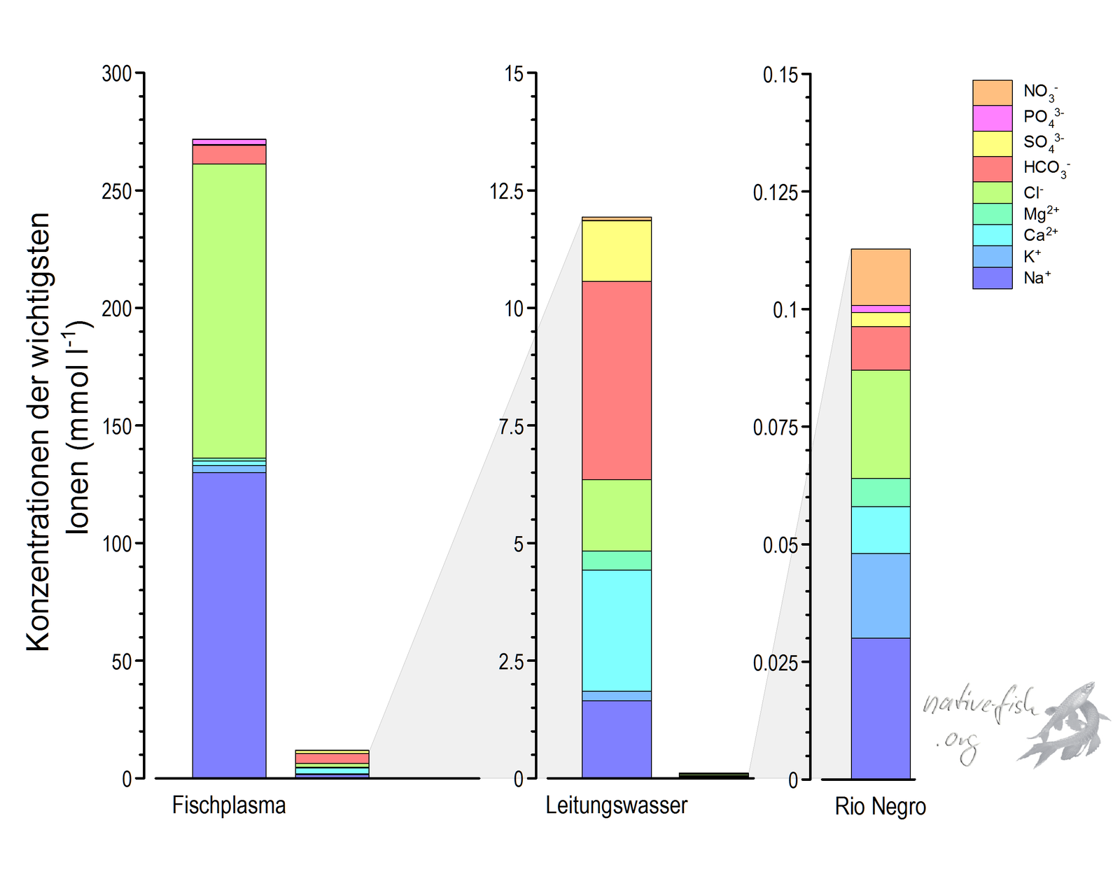 Vergleich der Ionenkonzentrationen zwischen dem Fischplasma (der wässrigen Komponente des Blutes), dem Leitungswasser in Berlin und dem Rio Negro. Achten Sie auf die Achsenskalierung, die sich um den Faktor 20 bzw. 100 ändert! Auch das in aquaristischen Kreisen als hart geltende Berliner Leitungswasser enthält deutlich weniger Ionen als das Fischplasma. Der Konzentrationsunterschied zwischen Fisch und Rio Negro für Na und Cl, den beiden wichtigsten Ionen im Blutplasma, beträgt annähernd das 5000-fache! (Bildquelle: Stefan K. Hetz, native-fish.org) Ionenverhältnisse zwischen Fischplasma und Umgebung