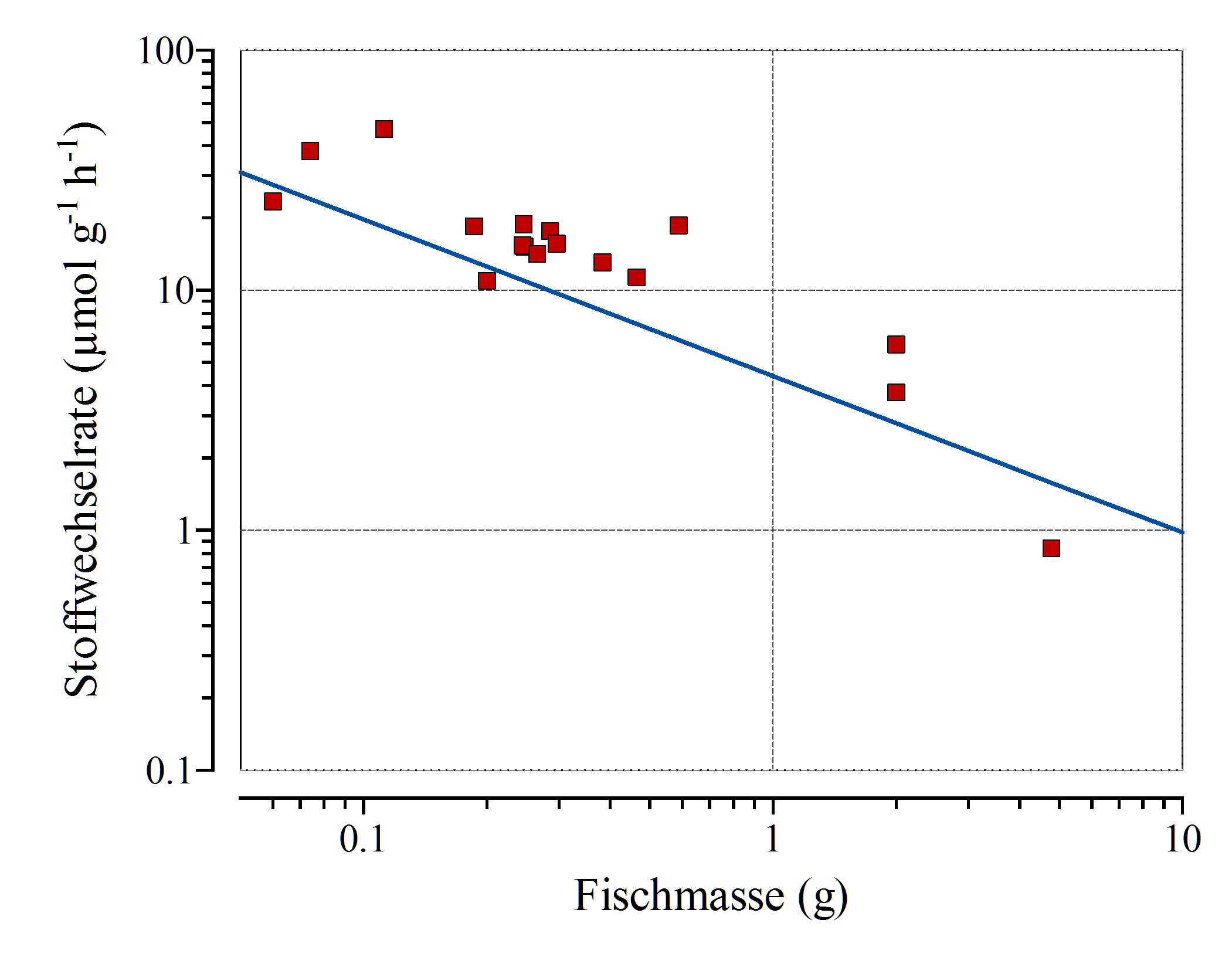 Massenspezifische Stoffwechselrate (in µmol/g h) verschiedener amazonischer Fische (Daten aus verschiedenen Literaturquellen) gegen die Körpermasse (g) in doppelt logarithmischer Auftragung. Kleine Fische zeigen pro Gramm Körpergewicht höhere Stoffwechselraten. Wenige große Fische brauchen deshalb -- auf die Körpermasse bezogen -- deutlich weniger Sauerstoff als viele kleine Fische mit der gleichen Masse. (Bildquelle: Stefan K. Hetz, native-fish.org) Wenige größere Fische brauchen auf die Körpermasse bezogen, weniger Sauerstoff als viel kleine Fische.