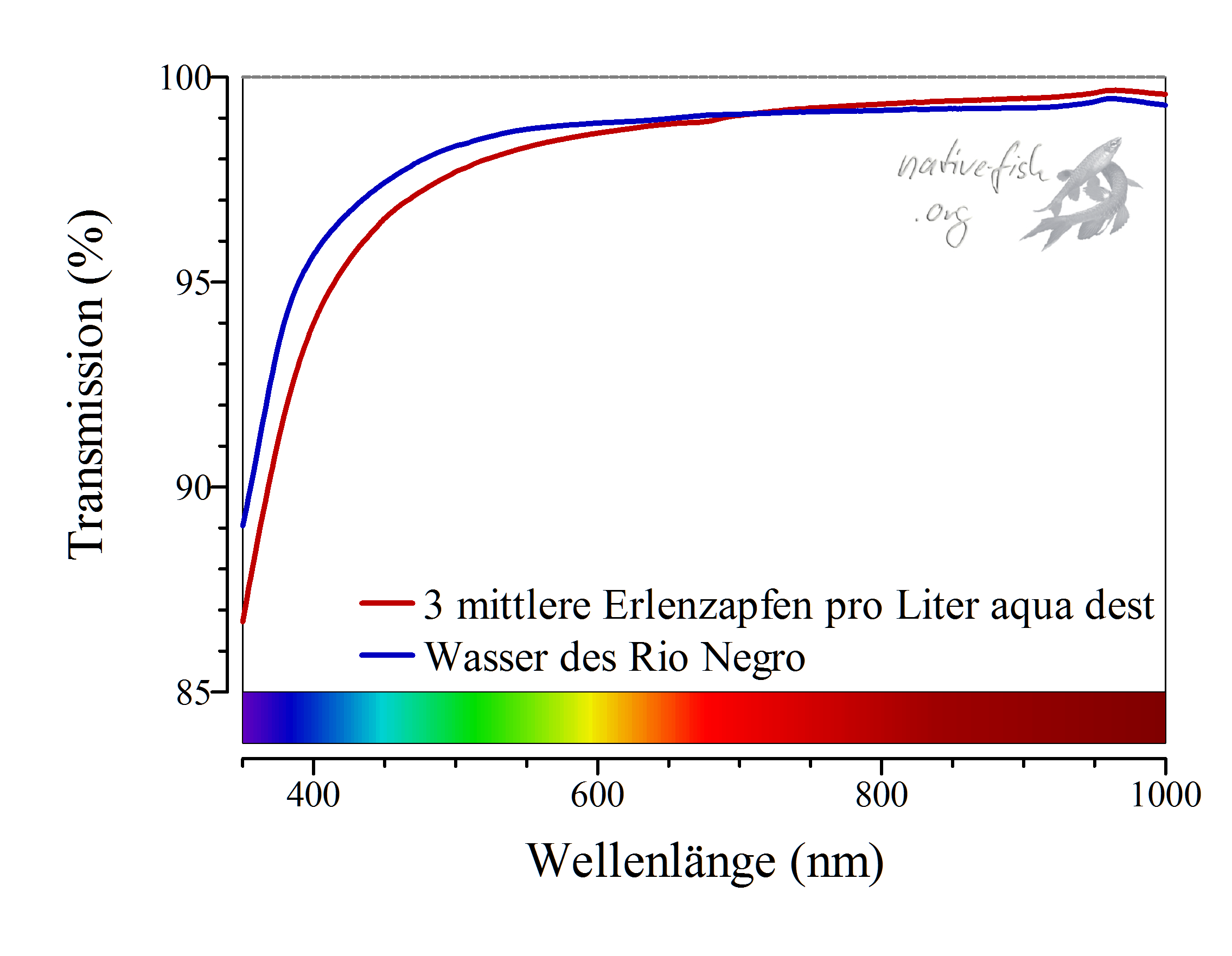 Die Durchlässigkeit (Transmission) des Schwarzwassers, hier eine Probe aus dem Rio Negro und aus einem meiner Aquarien, in denen ich Erlenzapfen verwende, bei verschiedenen Wellenlängen im Vergleich zu reinem Wasser. Unten ist eine Farbskala angebracht, welche die ungefähre Lichtfarbe angibt. (Bildquelle: Stefan K. Hetz, native-fish.org) Spektrale Transmission von Schwarzwasser