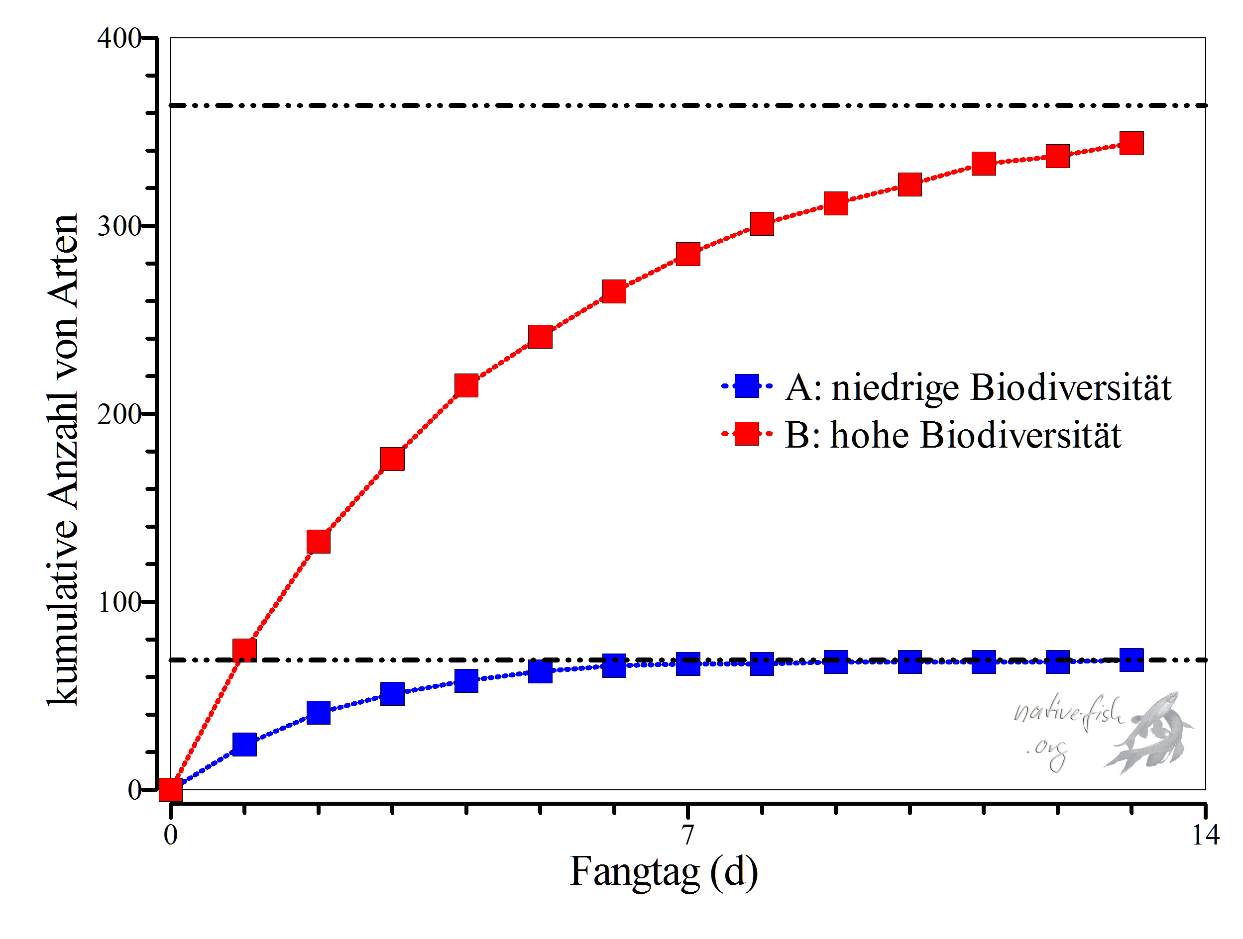 Eine Möglichkeit, die Anzahl von Arten in einem Gewässer abzuschätzen, ist die Bestimmung der Anzahl der täglich neu gefangenen Arten. Diese werden jeden Tag zu den an den vorherigen Tagen gefangenen Arten addiert. Bei geringer Biodiversität werden schon nach kurzer Zeit keine neuen Arten gefangen (blaue Datenpunkte) wohingegen bei hoher Diversität ständig weitere neue Fischarten gefangen werden (rote Datenpunkte). (Grafik: Stefan K. Hetz, native-fish.org) Biodiversität