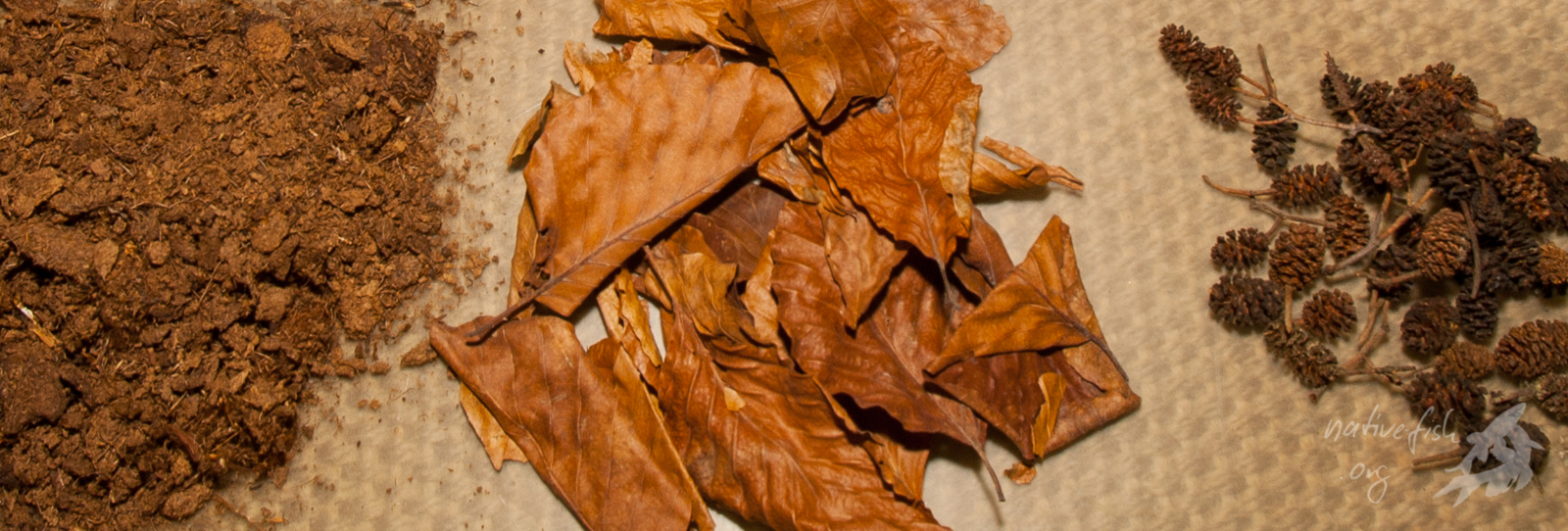 Huminstoffe können einem Aquarium in Form von pflanzlichen Bestandteilen (von links nach rechts: Torf, Buchenblätter, Erlenzapfen) zugegeben werden. Nachwachsenden Stoffen, wie Buchenblättern und Erlenzapfen sollte der Vorzug gegeben werden. Ausserdem bietet der Handel einige Präparate an. (Bildquelle: Stefan K. Hetz, native-fish.org) Huminstoffe aus pflanzlichen Bestandteilen