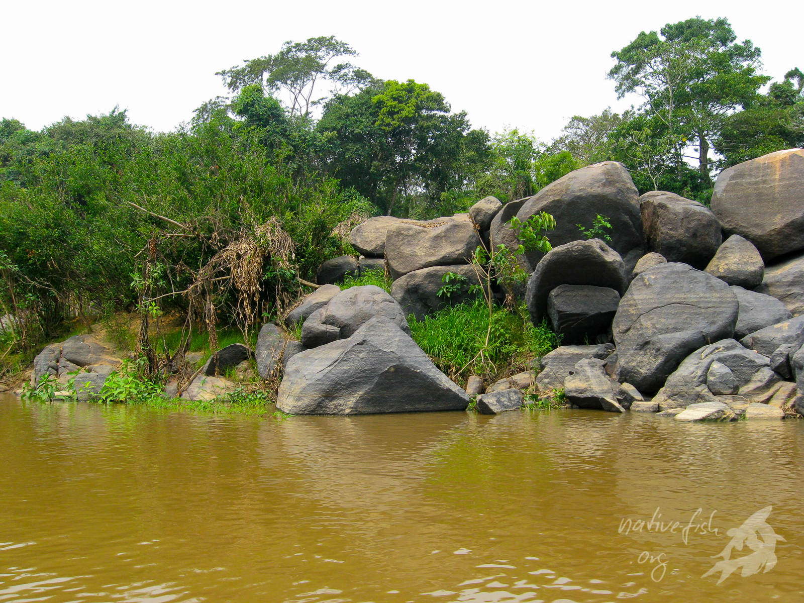Zur Trockenzeit an den felsigen Ufern des Rio San Martin in Bolivien. (Bildquelle: Stefan K. Hetz, native-fish.org) Am Rio San Martin in Bolivien. Bild Dr. Stefan K. Hetz