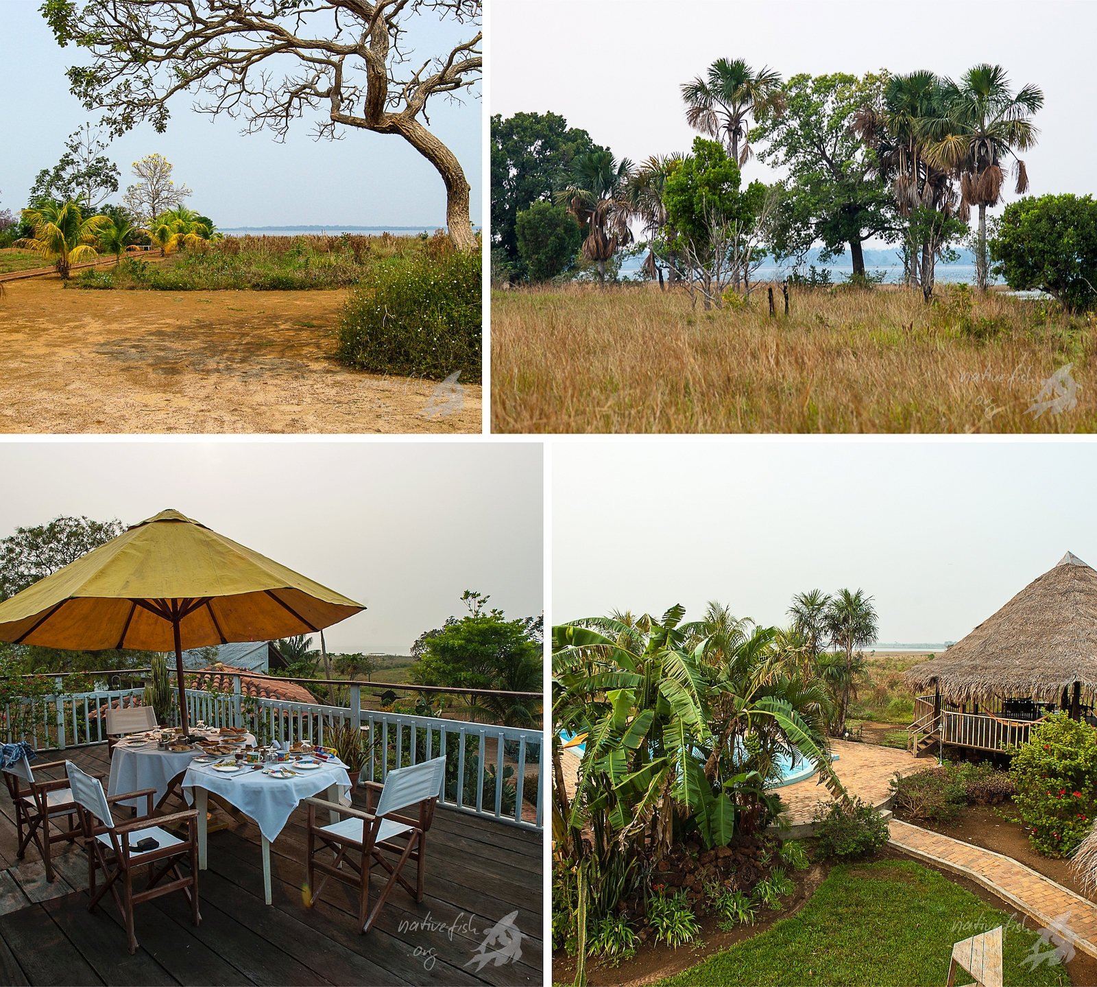 Eindrücke von der Lodge. Vieles nutzt man als Aquarianer sicher gar nicht. Wer braucht zum Beispiel einen Pool, wenn er im sauberen klaren See direkt mit Fischen schwimmen kann? (Bildquelle: Stefan K. Hetz, native-fish.org) Die Lodge von Los Lagos