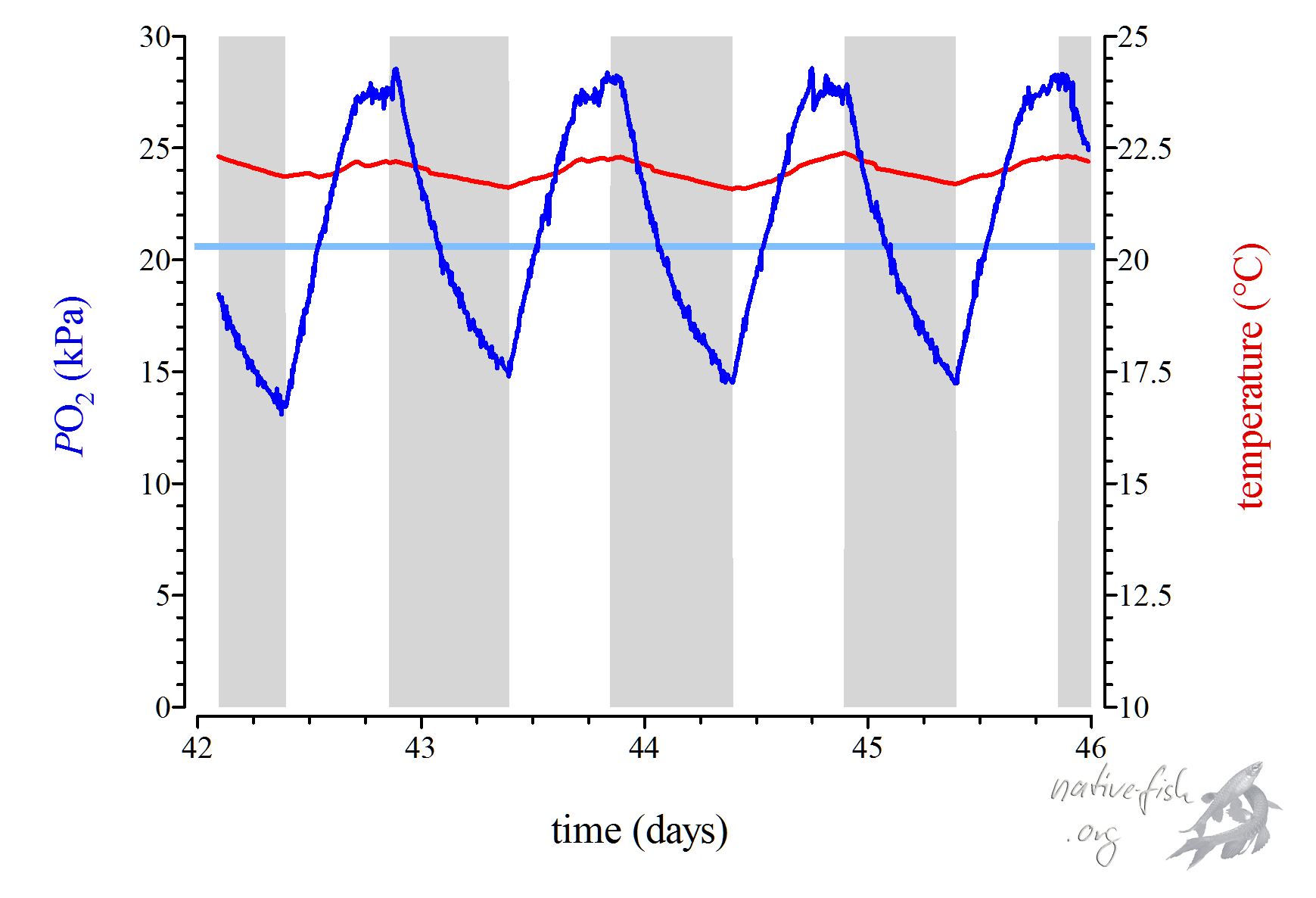 Tagesperiodische Schwankungen des Sauerstoffpartialdrucks (blaue Kurve) über mehrere Tage im Aquarium des Verfassers. Durch die Assimilation bei Licht (heller Hintergrund) wird mehr Sauerstoff erzeugt als von Pflanzen und Fischen verbraucht wird. Nachts (dunkler Hintergrund) ist es umgekehrt. Die waagerechte hellblaue Linie markiert den Sauerstoffpartialdruck bei Luftsättigung. (Bildquelle: Stefan K. Hetz, native-fish.org) Tagesperiodische Schwankungen des Sauerstoffpartialdrucks im Aquarium.
